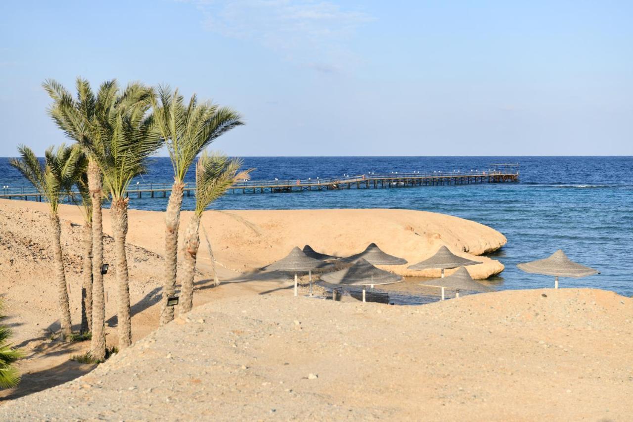 Wadi Lahmy Azur - Soft Resort