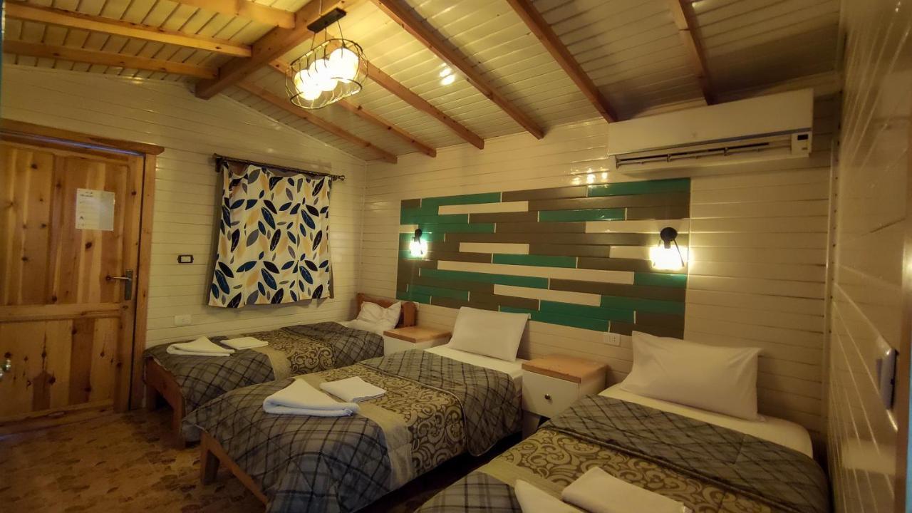 Shams & Dive Centre
