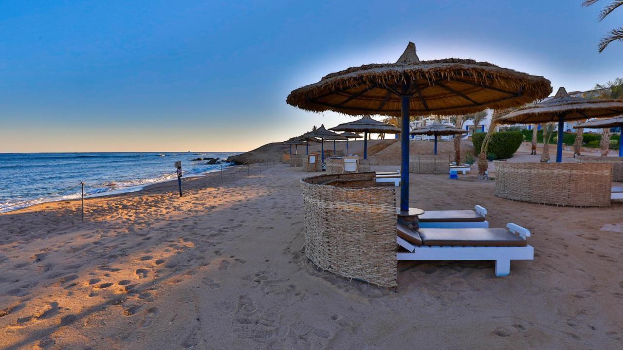 Coral Sun (adults Only) Safaga