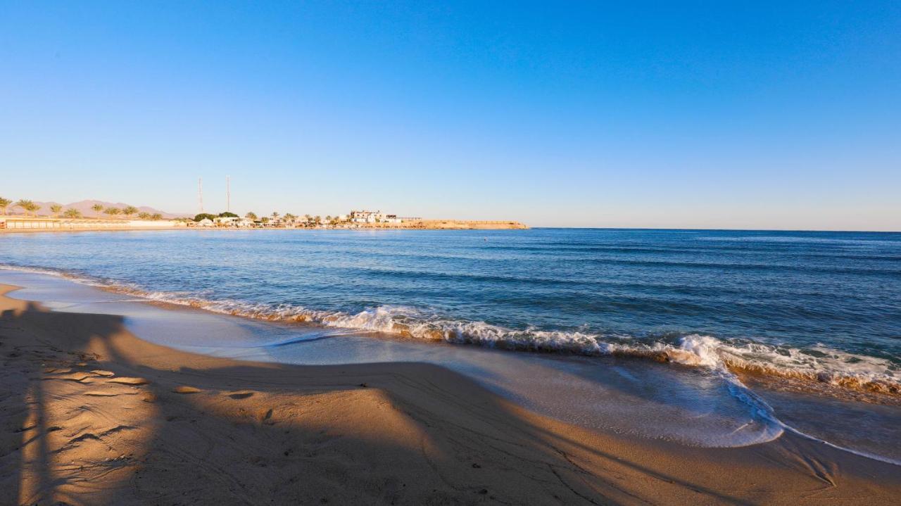 Coral Sun (adults Only) 4* Safaga