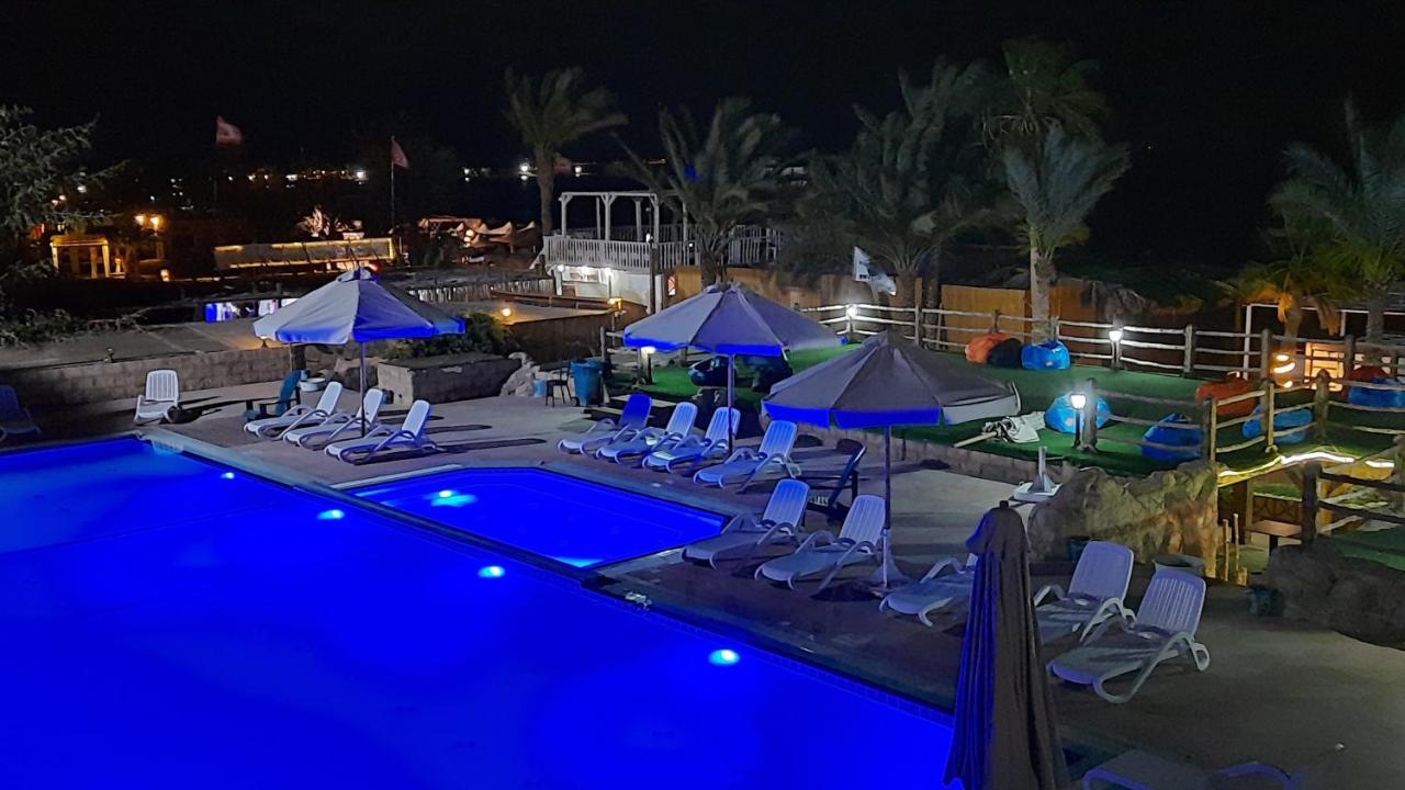Panda Hotel 3*