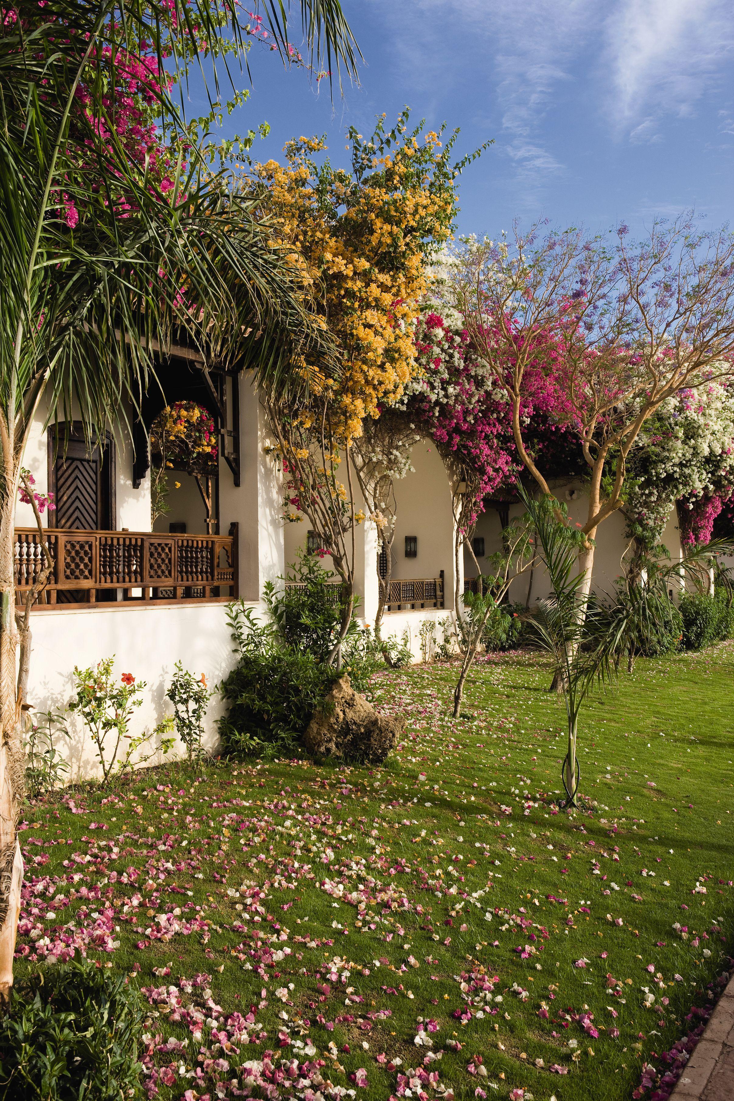 Movenpick Sheikh 5* Sharm El Sheikk