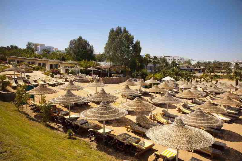 Resort Xperience St. George Sheikh 4*
