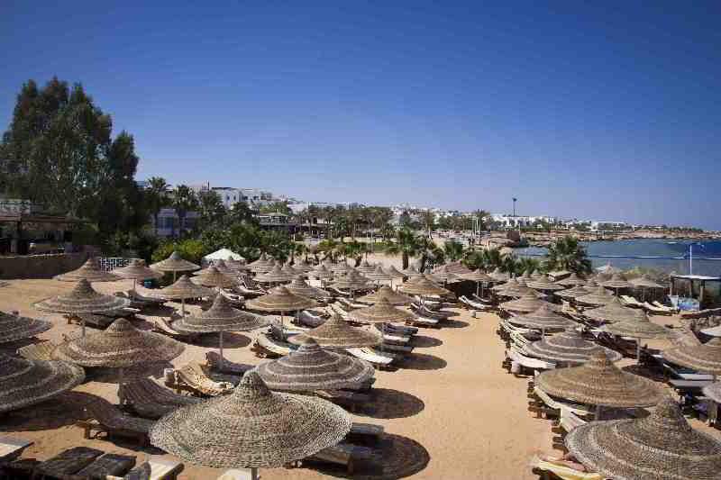 Xperience St. George Sheikh