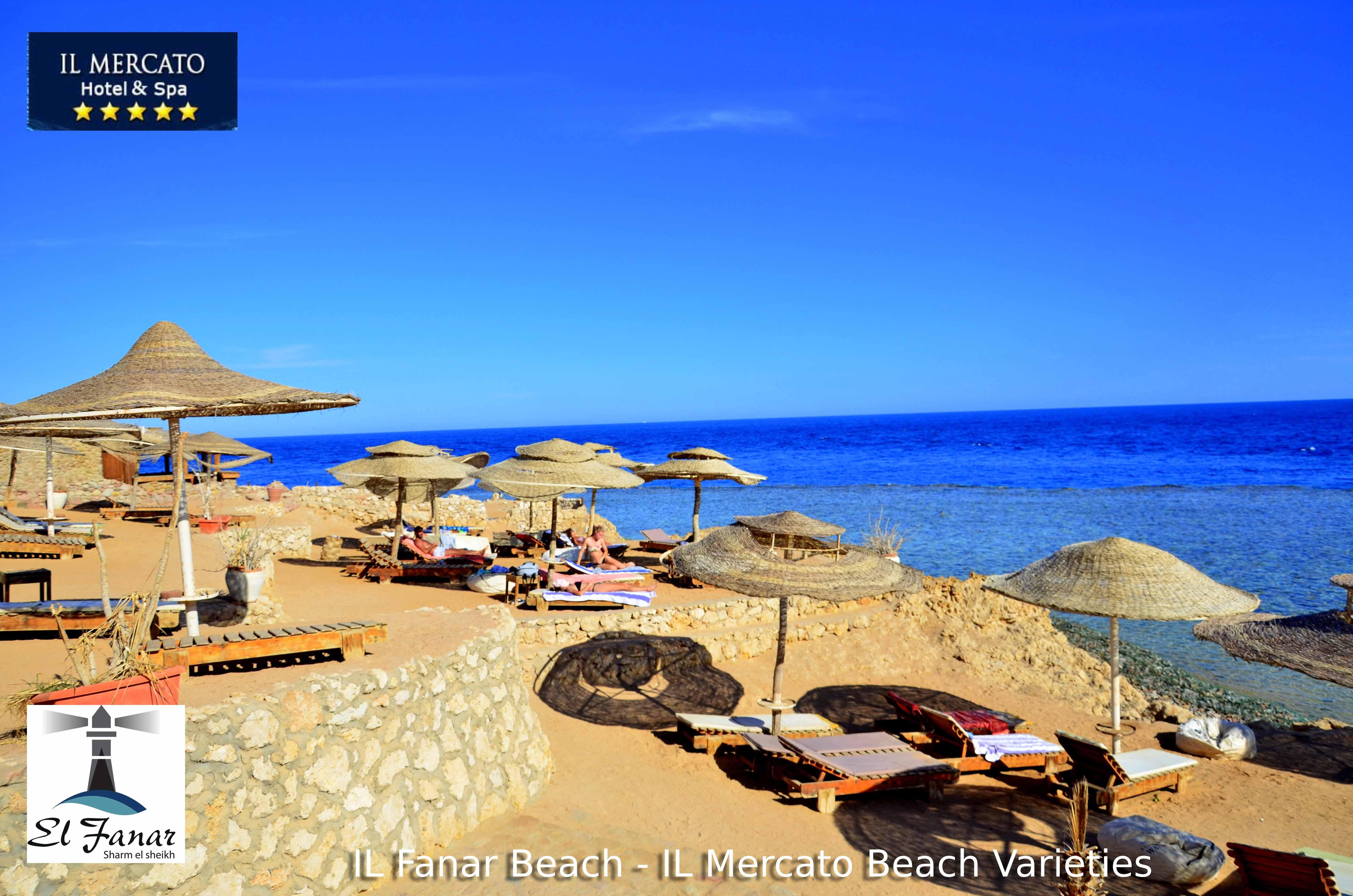 Il Mercato & Sharm el-Sheikh