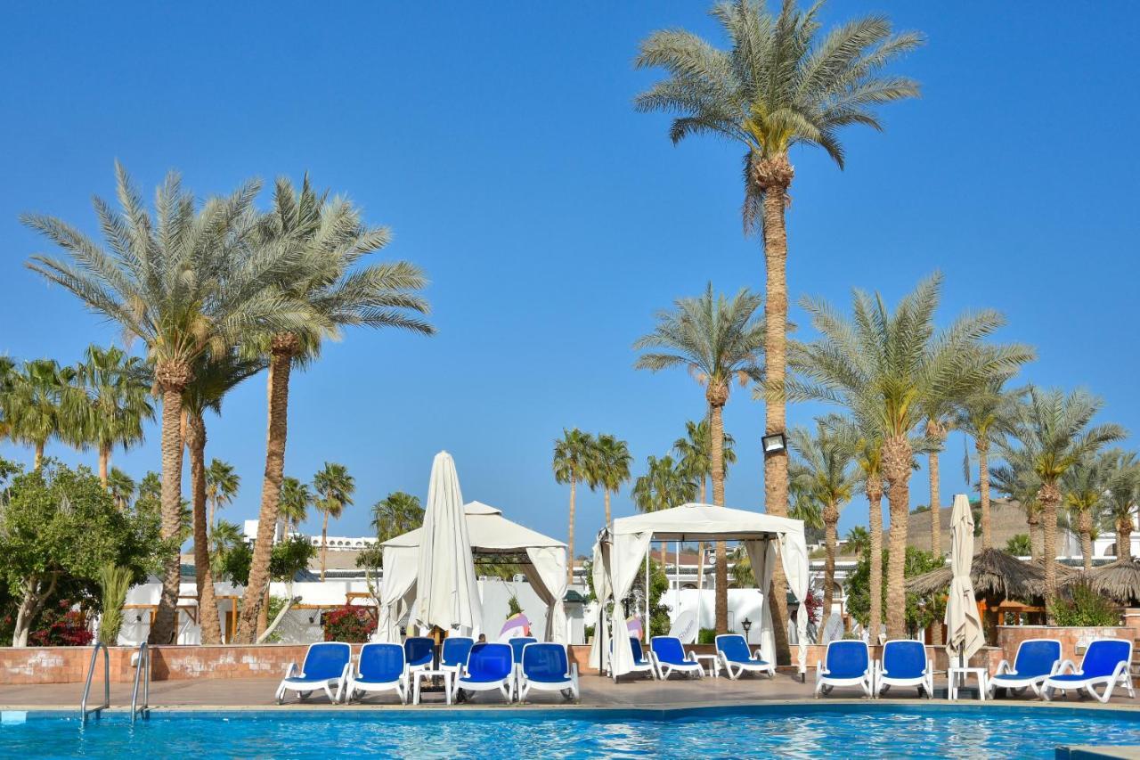 Hotel Seti Palm Families And Couples Only