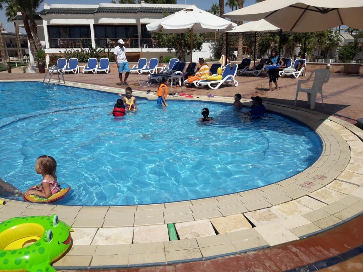 Seti Palm Families And Couples Only Sharm el-Sheikh