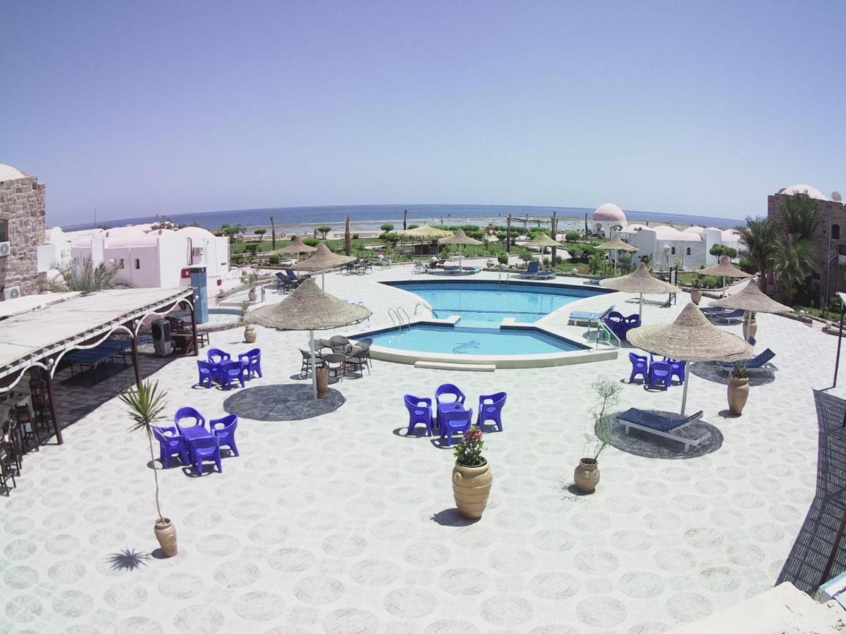 Dolphin Continental 3* El Qoseir