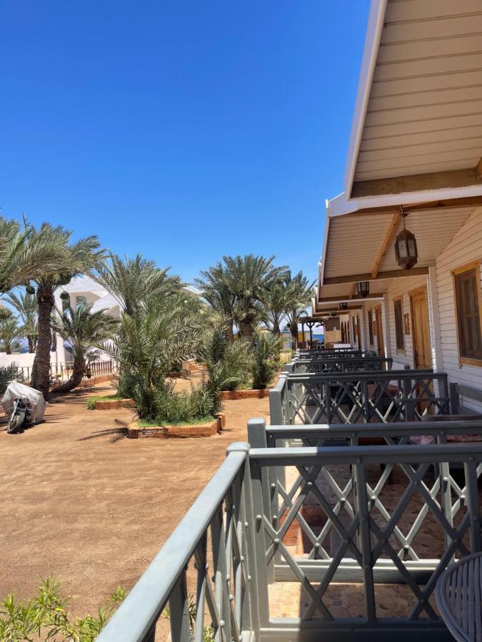 Shams & Dive Centre