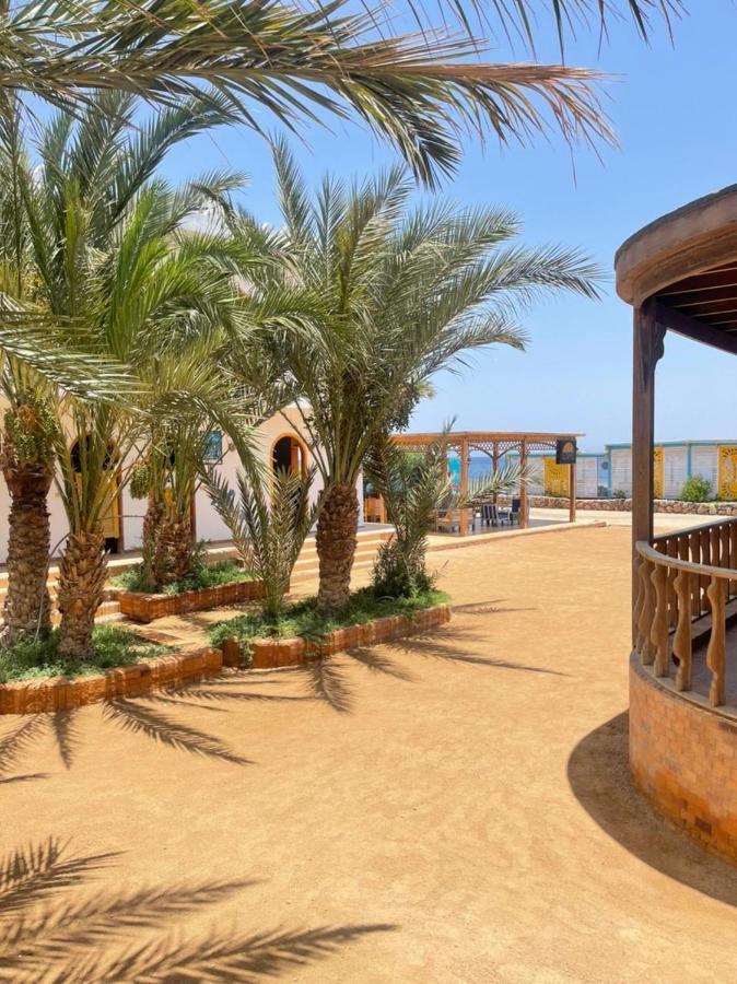Shams & Dive Centre
