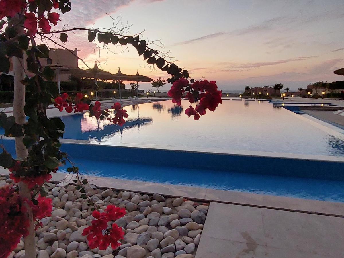 La Hacienda - - Ras Sedr