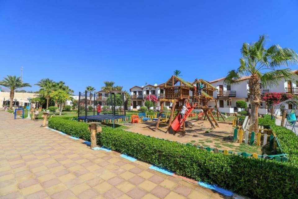 Ganet Sinai