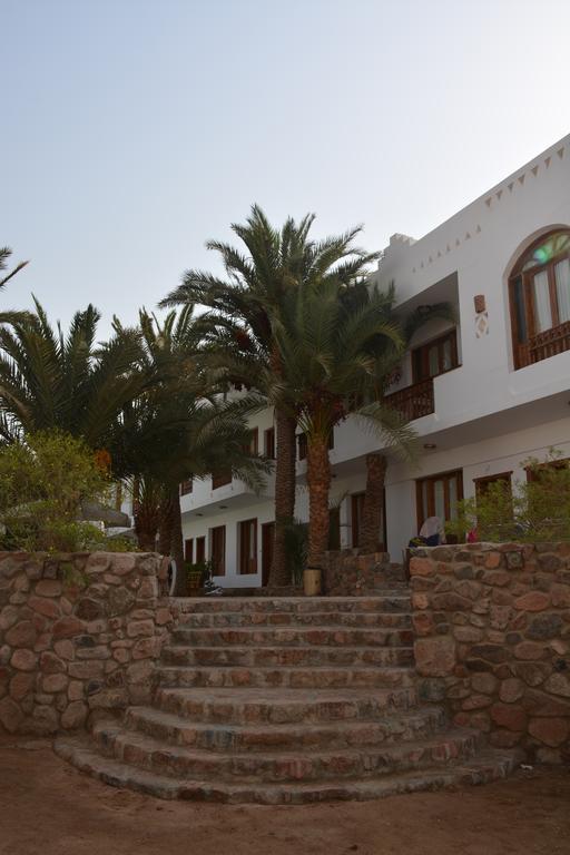 Divers * Dahab