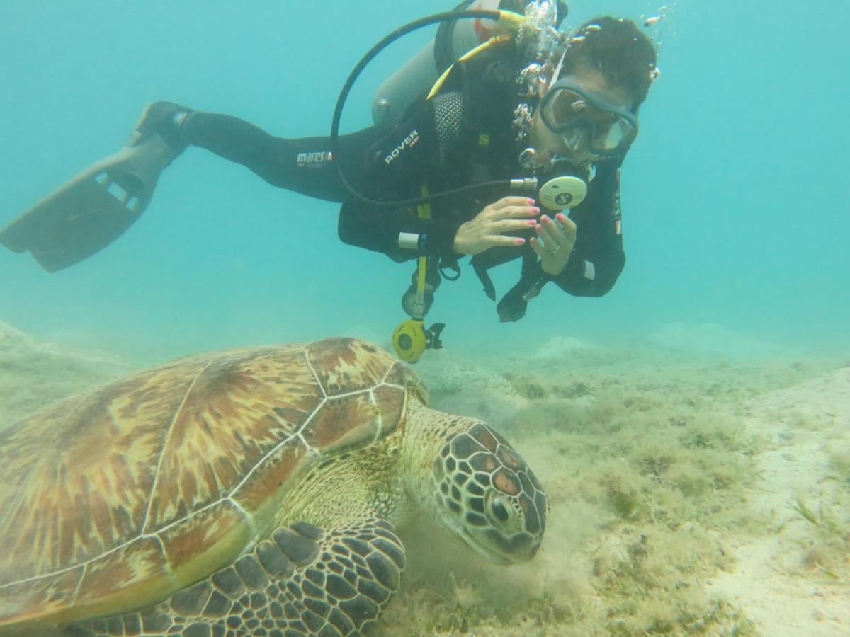 Hotel Blue Vision Diving