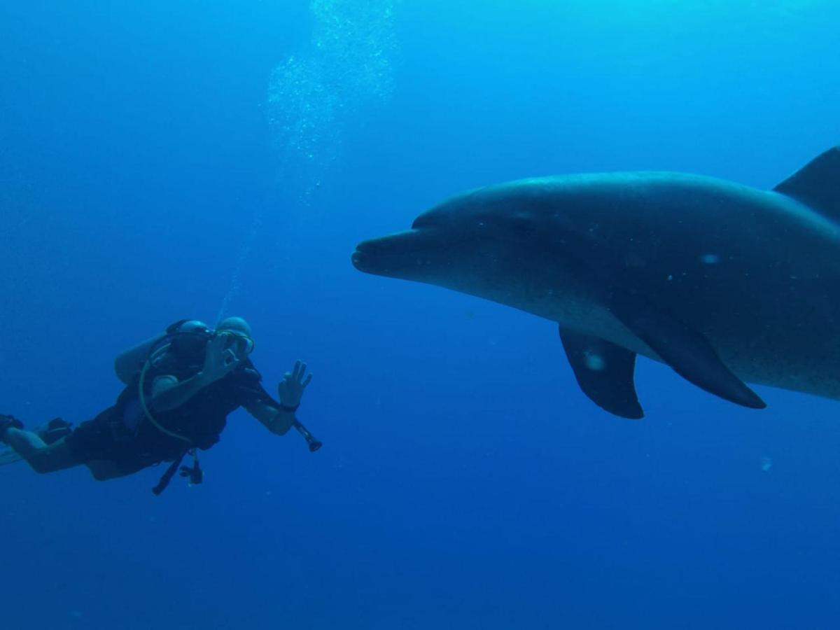 Blue Vision Diving Hotel 3*