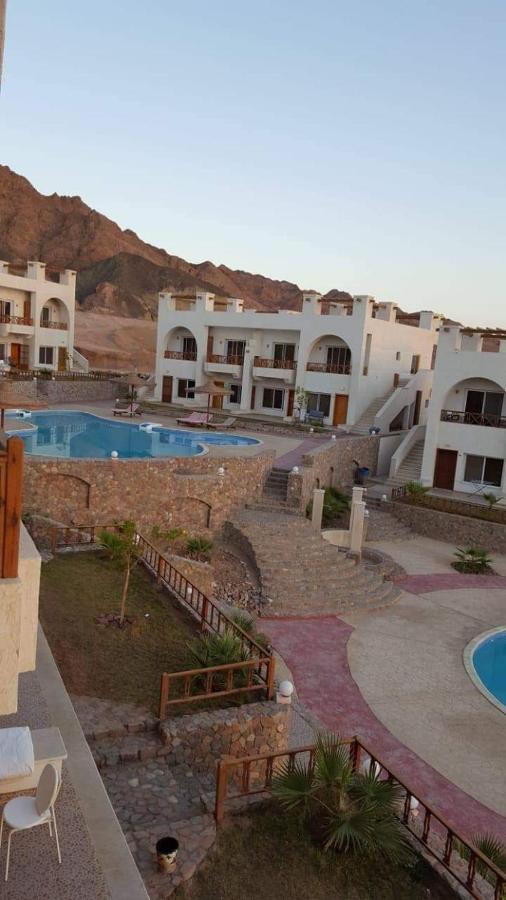 Apartment Half Moon - Sunny Dahab