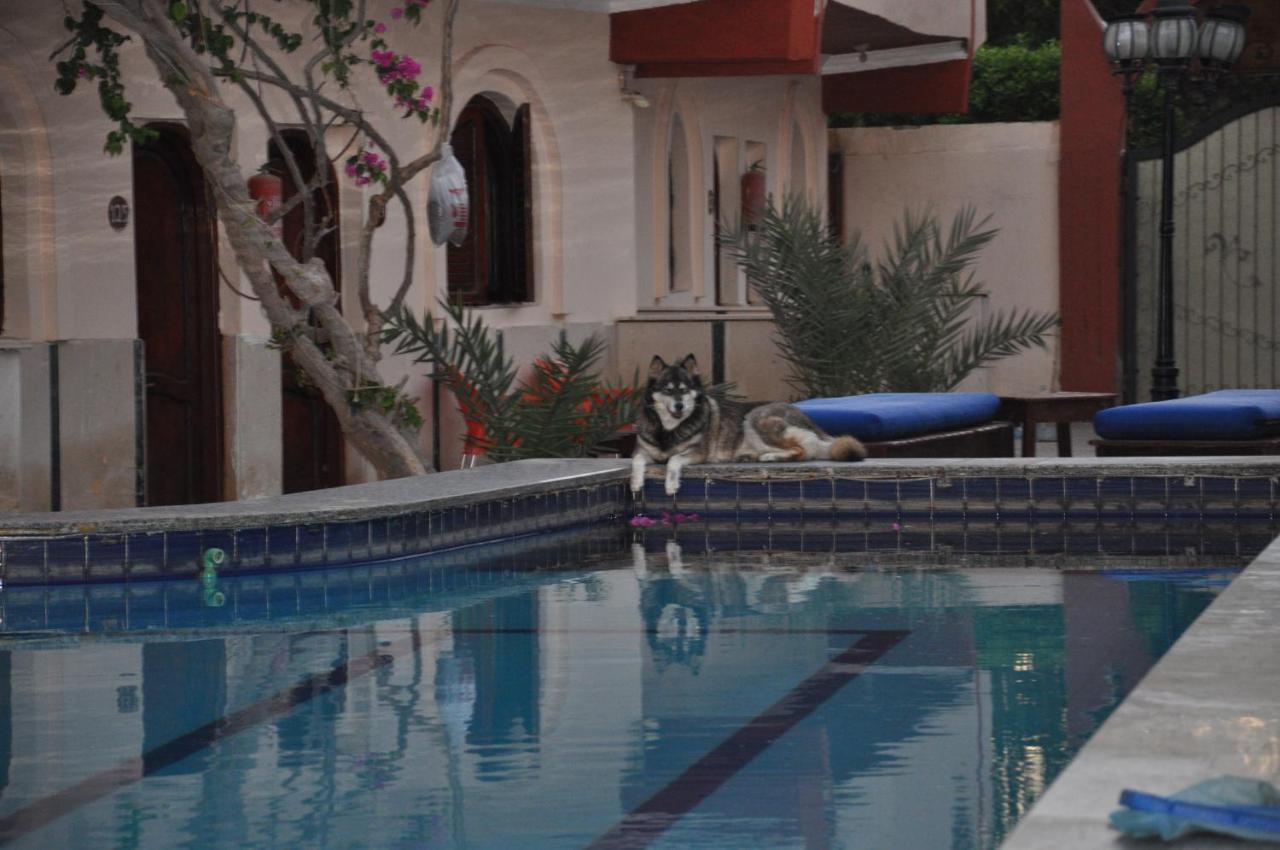 Plaza Resort Dahab