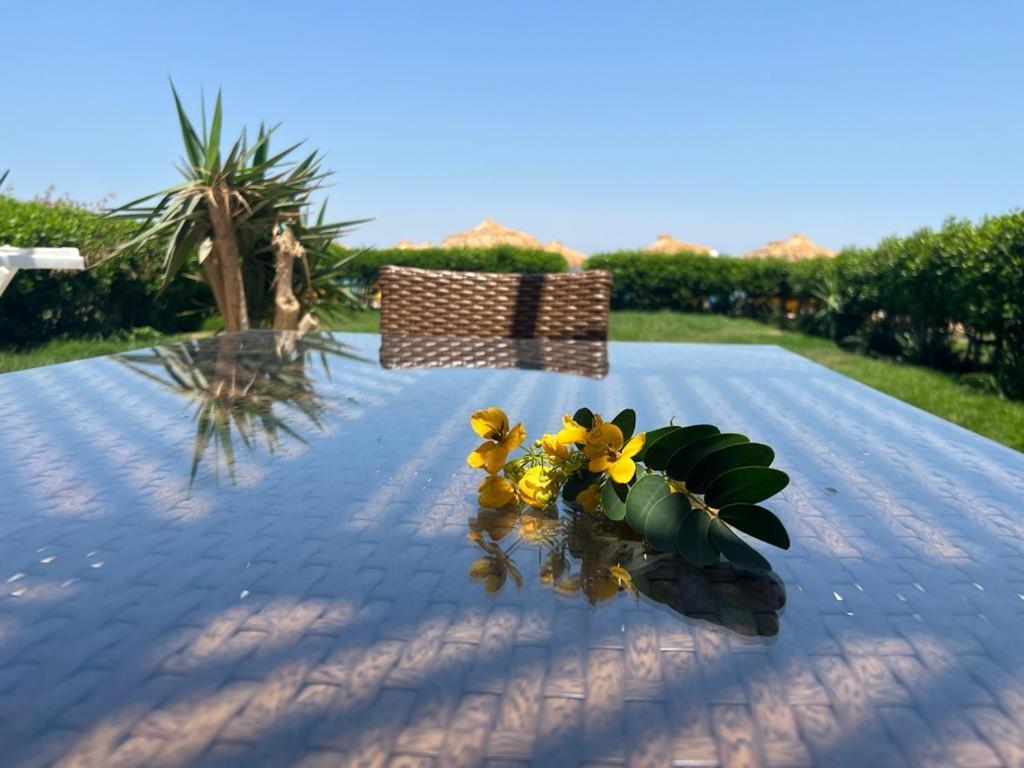 Front First Row Family Only Villa