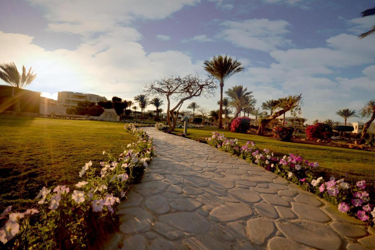 Complex Aurora Oriental Sheikh Sharm el-Sheikh