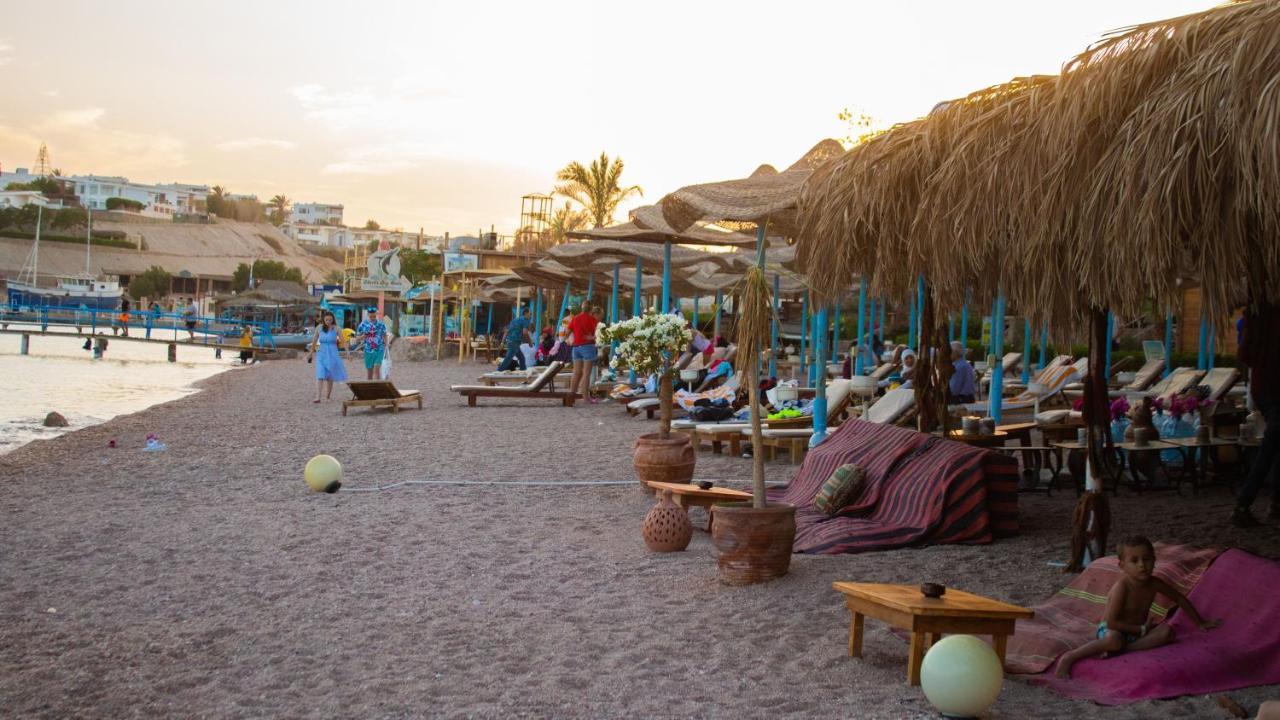 Complex Sharks Bay Oasis Aqua Park 3*
