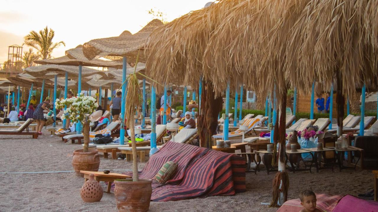 Sharks Bay Oasis Aqua Park