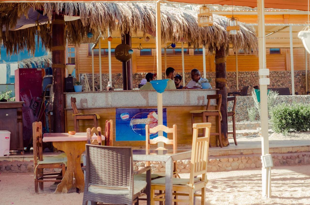 Sharks Bay Oasis Aqua Park Complex