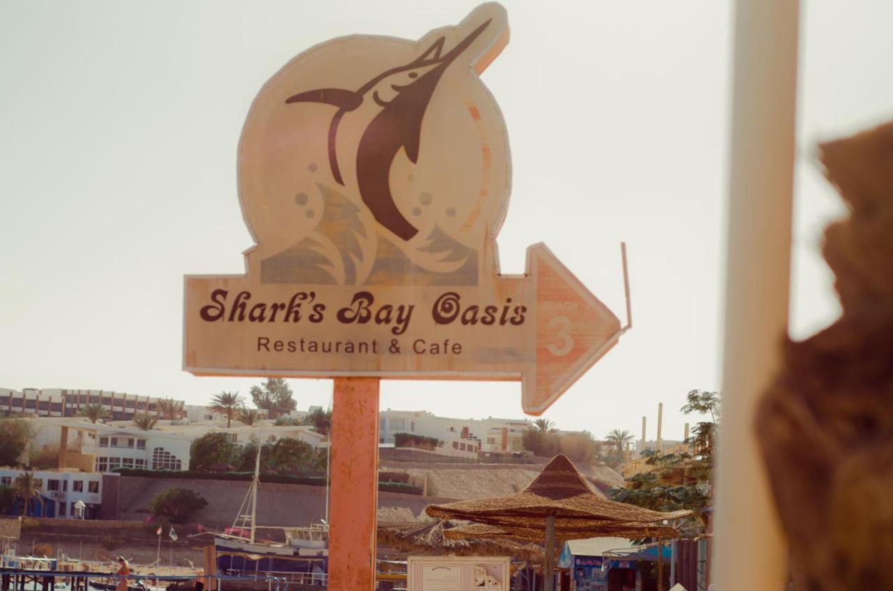 Sharks Bay Oasis Aqua Park Complex