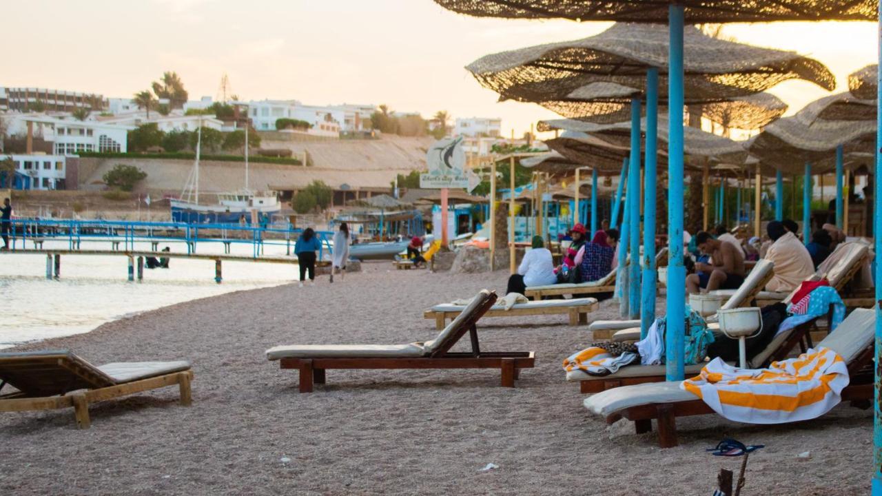 Sharks Bay Oasis Aqua Park Complex 3*