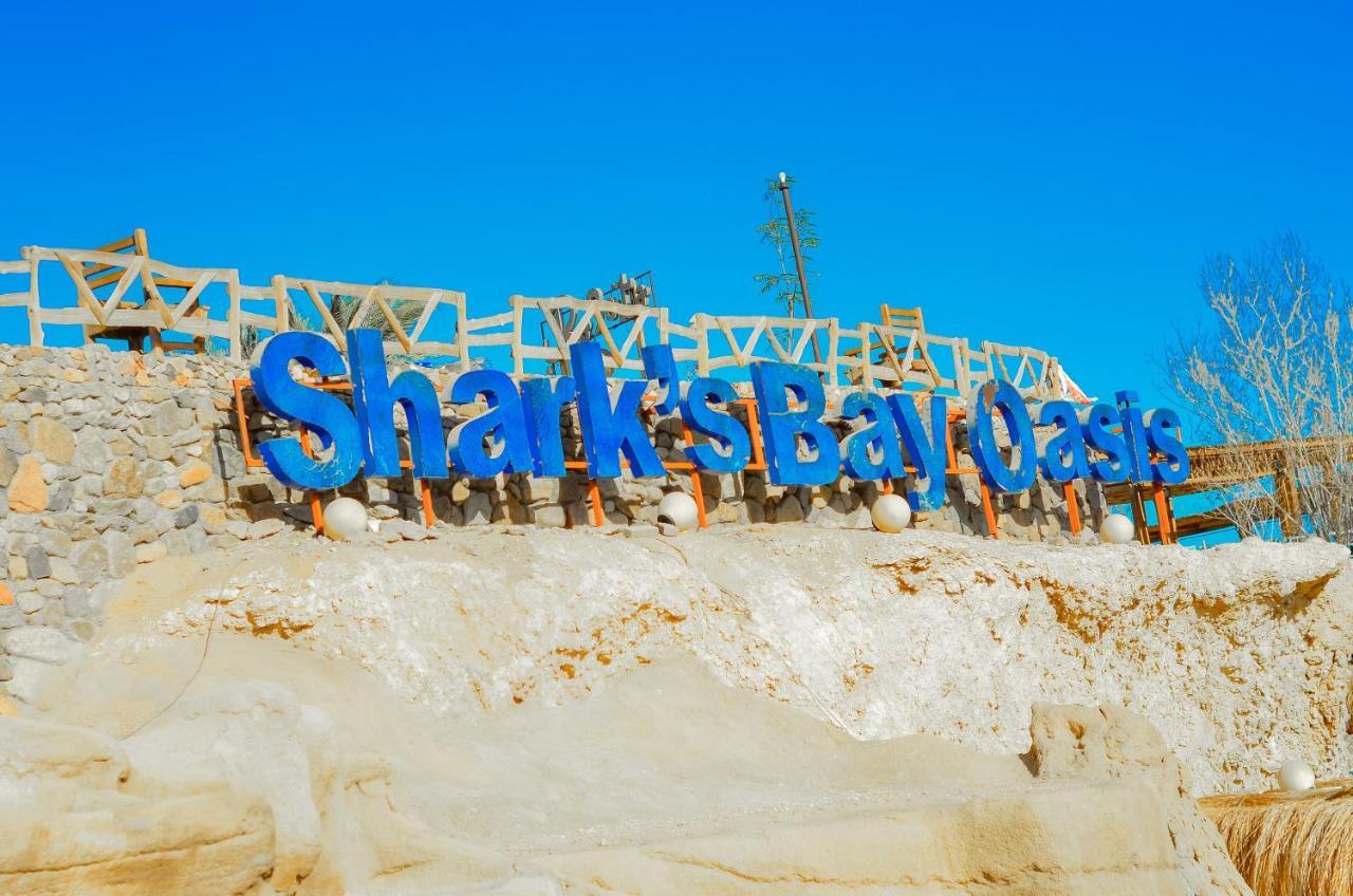 Sharks Bay Oasis Aqua Park Complex