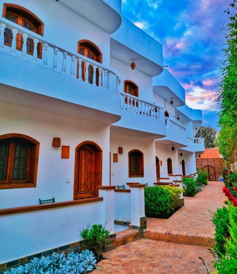 Ghazala Oasis *