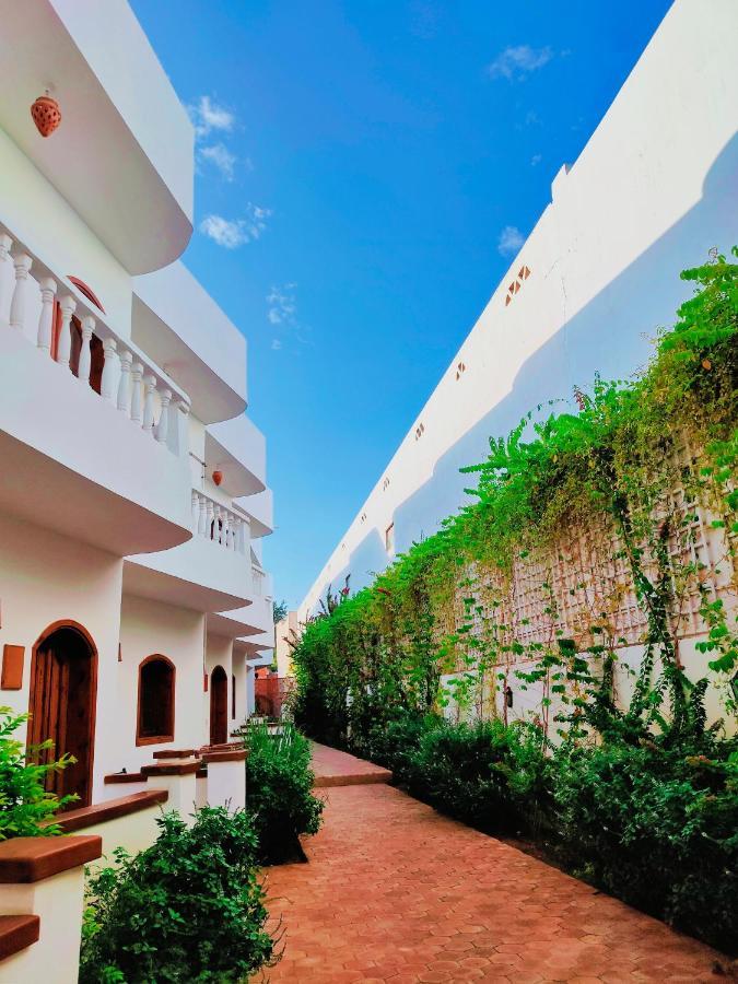 Resort Ghazala Oasis