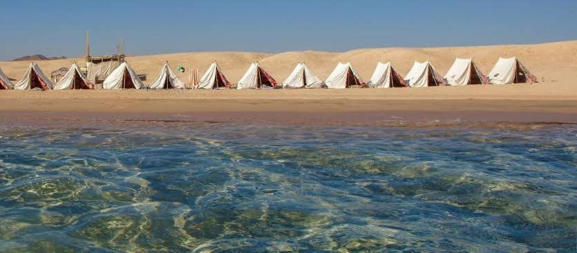 In The Heart Of Sinai, Blend In Nature Beach View Camp Campsite