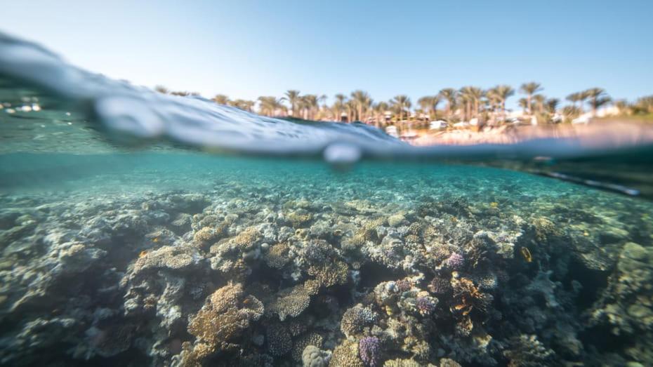 Private Residential Villa & Chalet At Four Seasons Resort Sharm El Sheikh - Egypt 5* Sharm el-Sheikh