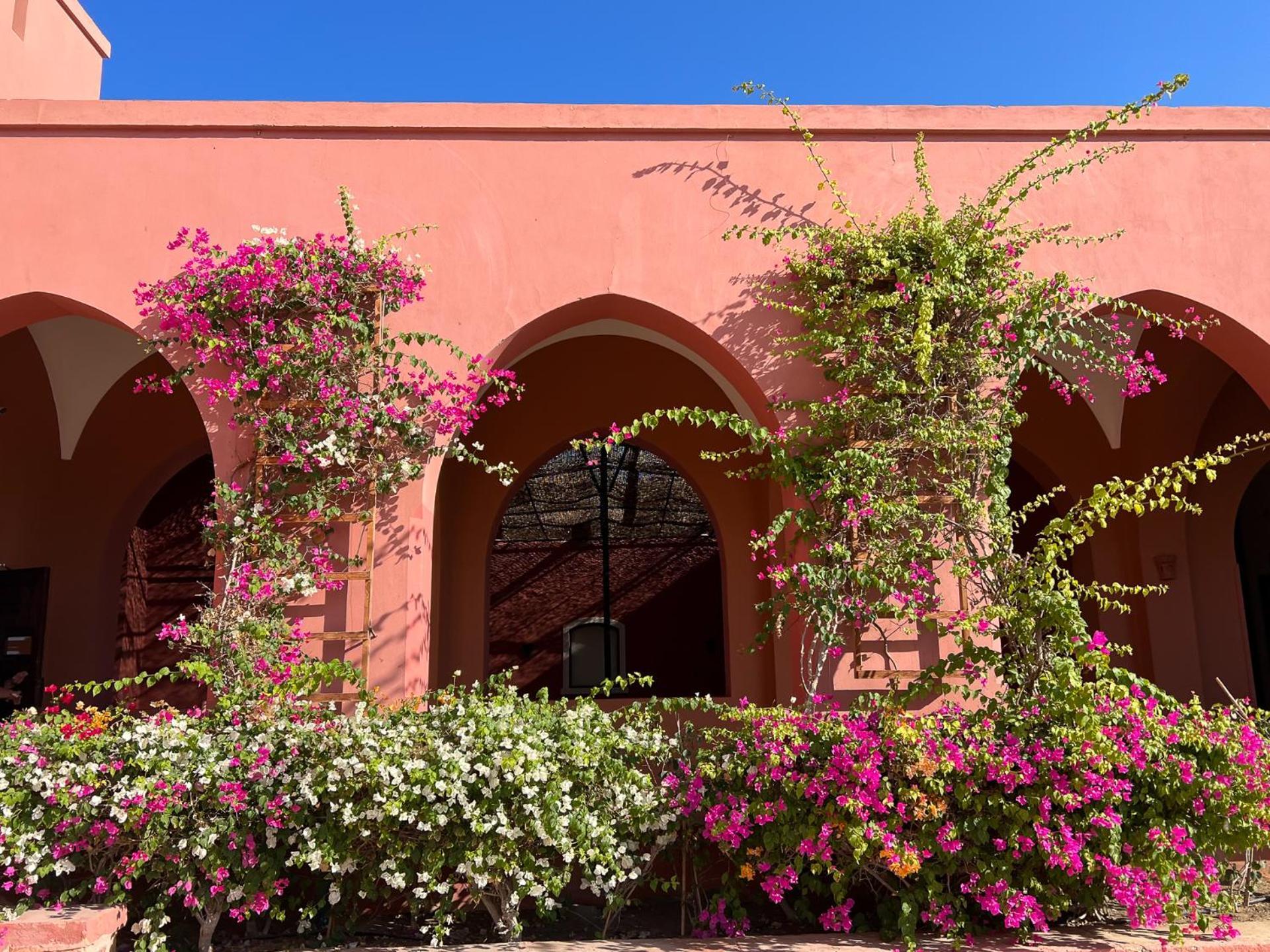 Resort Radisson Blu El Quseir