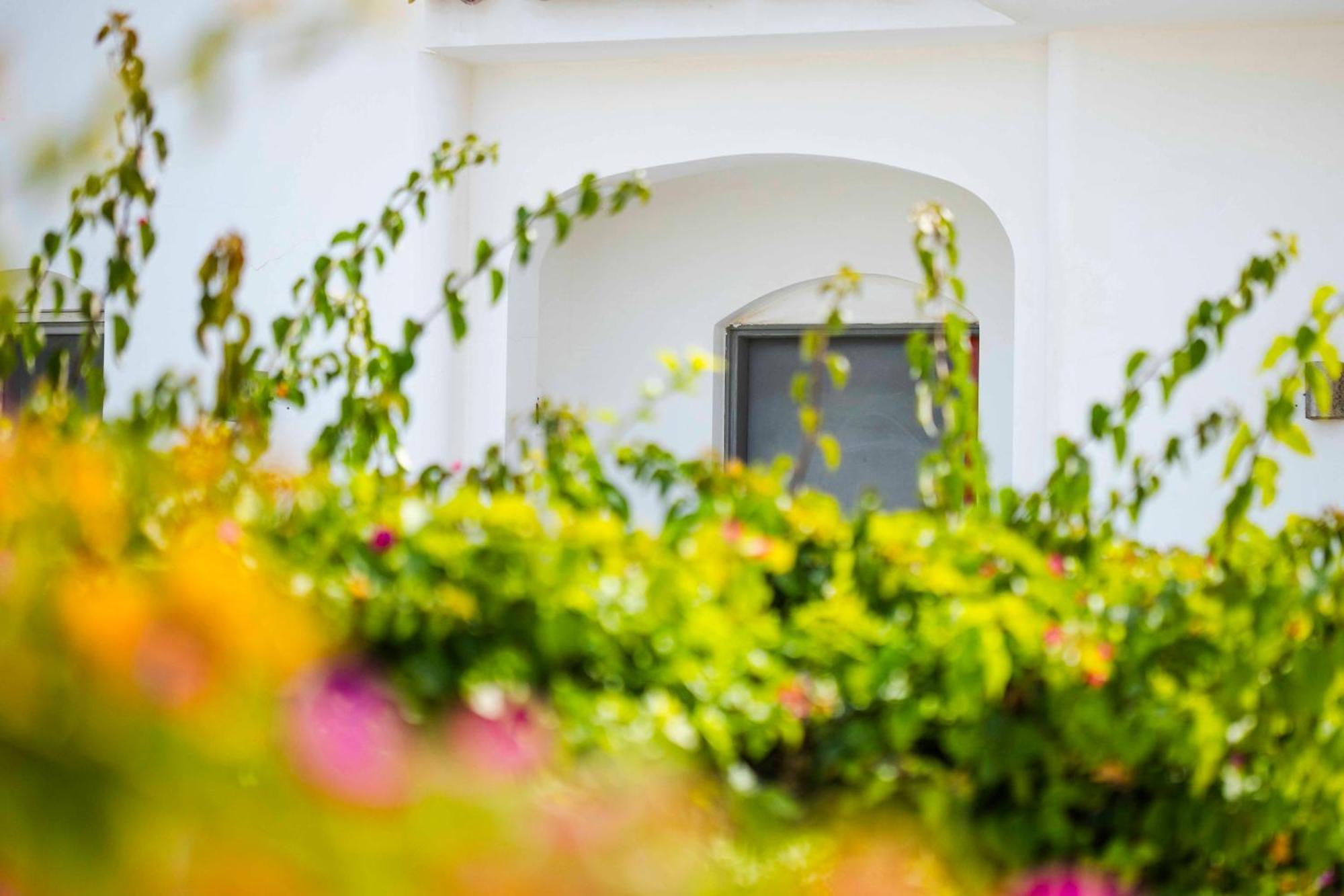 El Gouna Elite Worldwide Private Residences, Sea & Garden View - Hurghada, Egypt Daire Hurgada