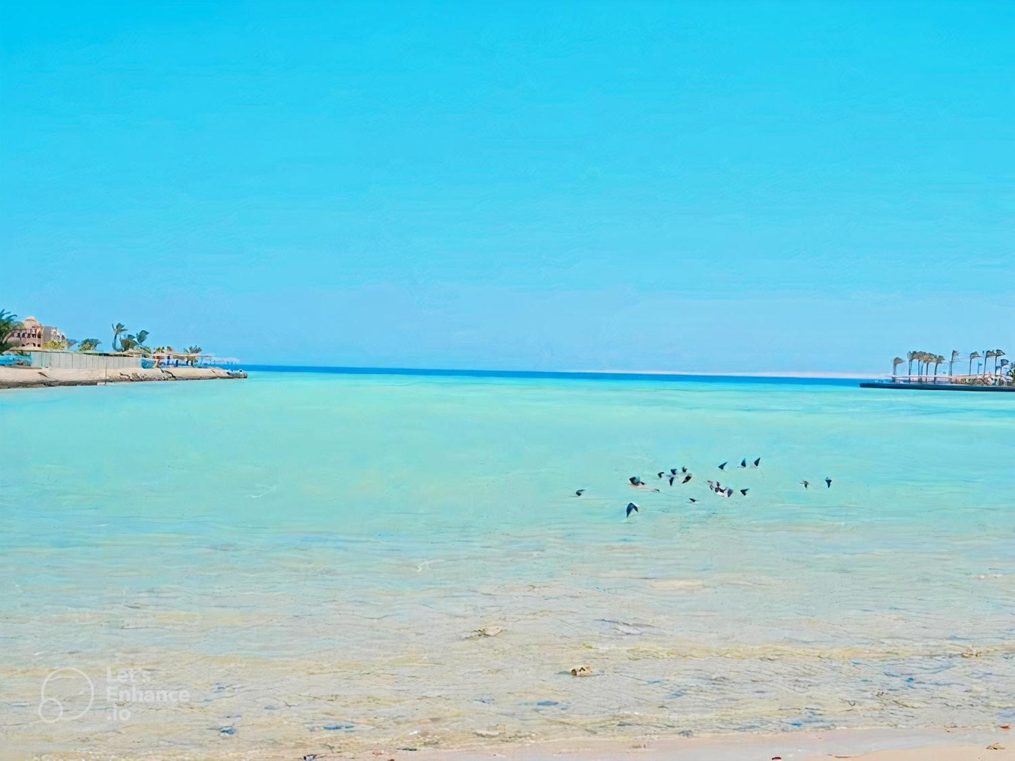 Apartment Scandic Ssv- Private Sandy Coral Reef Retreat With Free Wi-fi