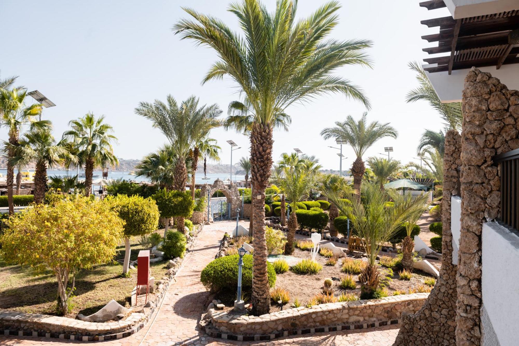 Turquoise Resort 3*