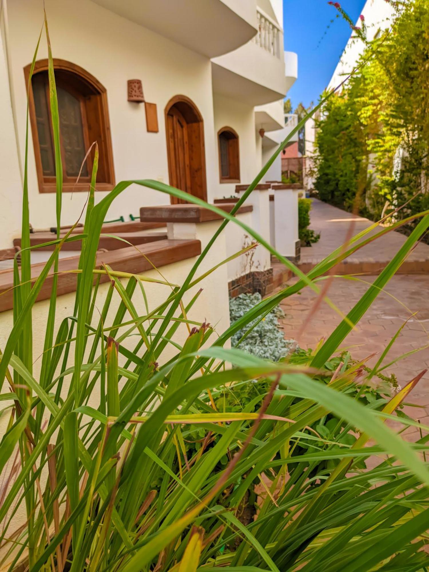 Resort Ghazala Oasis *