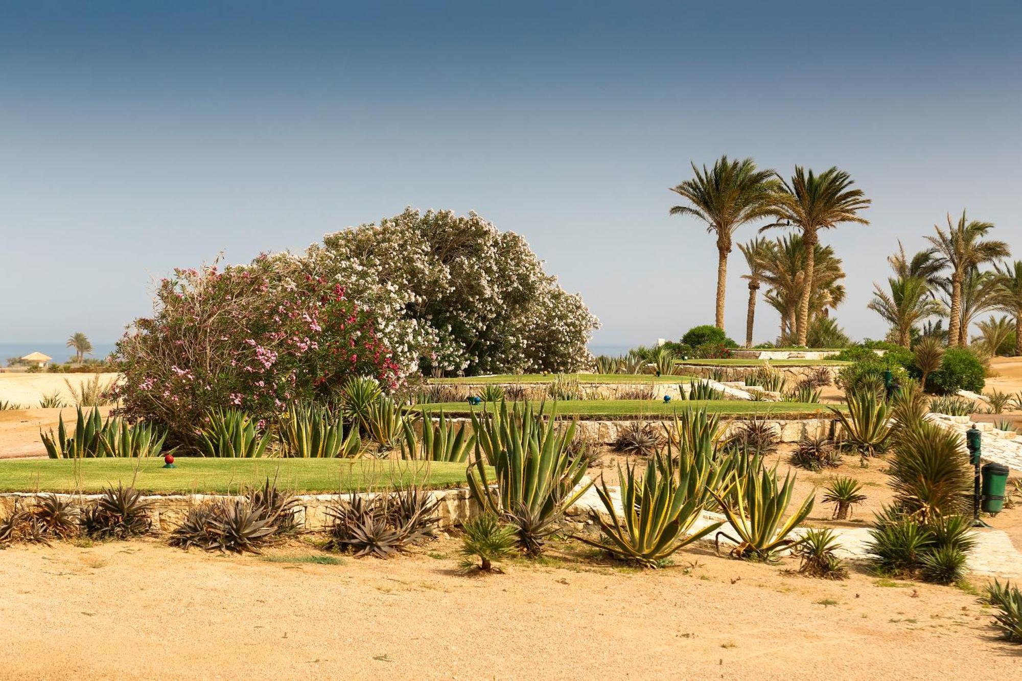Resort Robinson Soma Bay