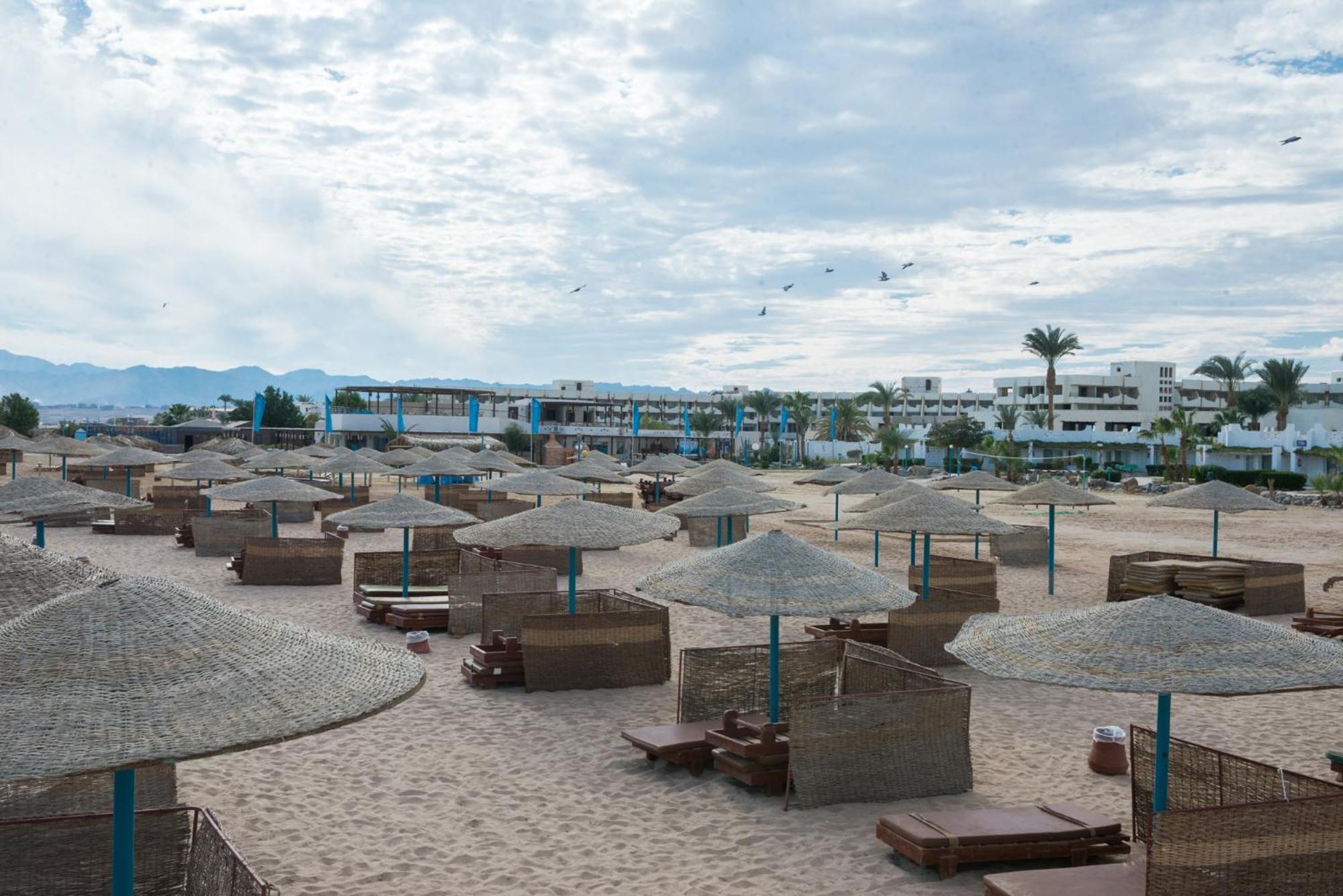 Resort Shams