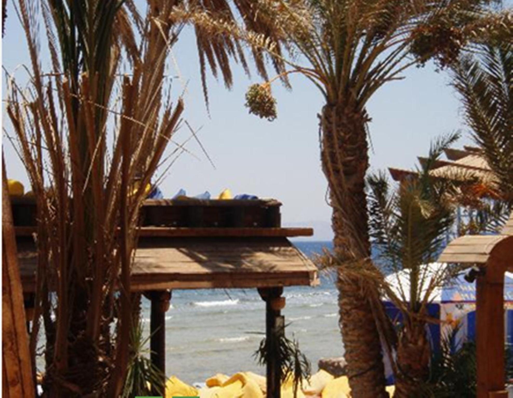 Hotel Penguin Village Dahab