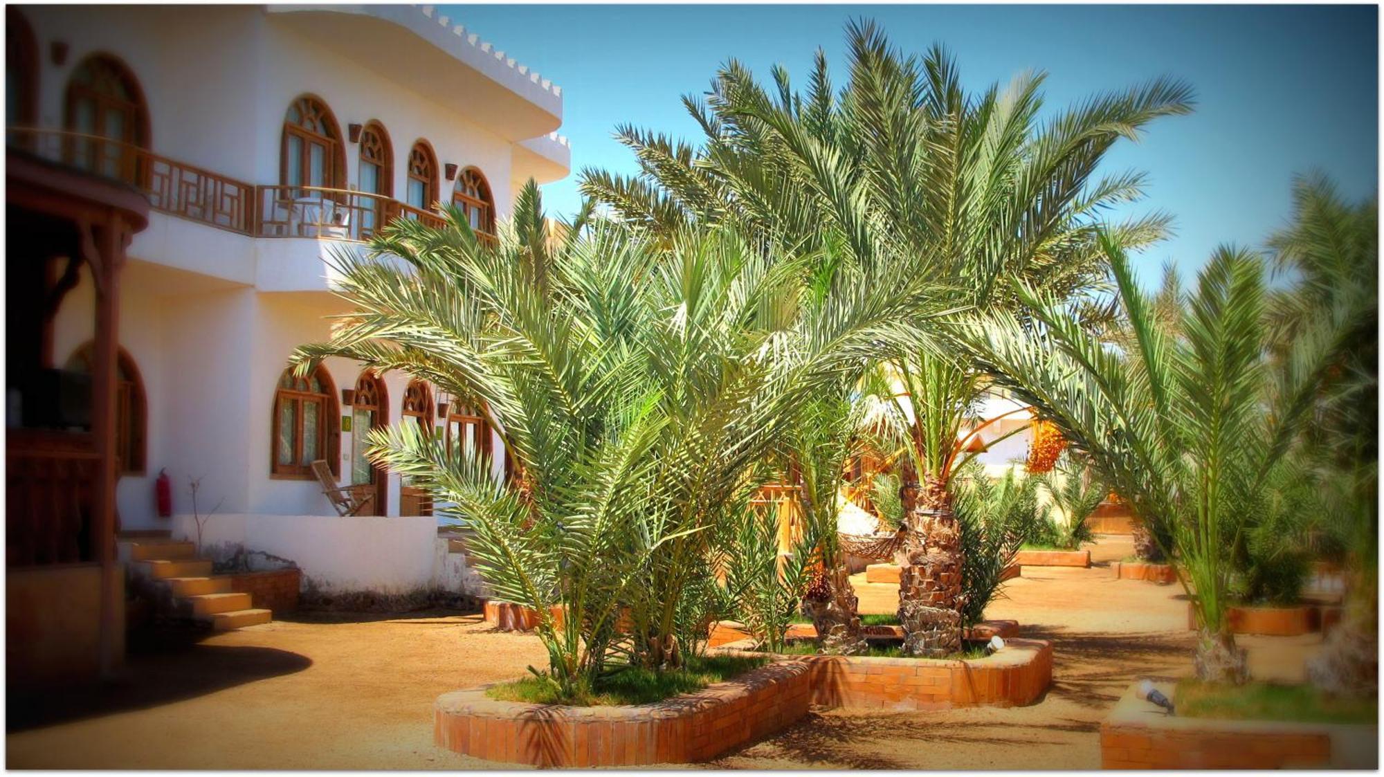 Hostel Shams & Dive Centre *