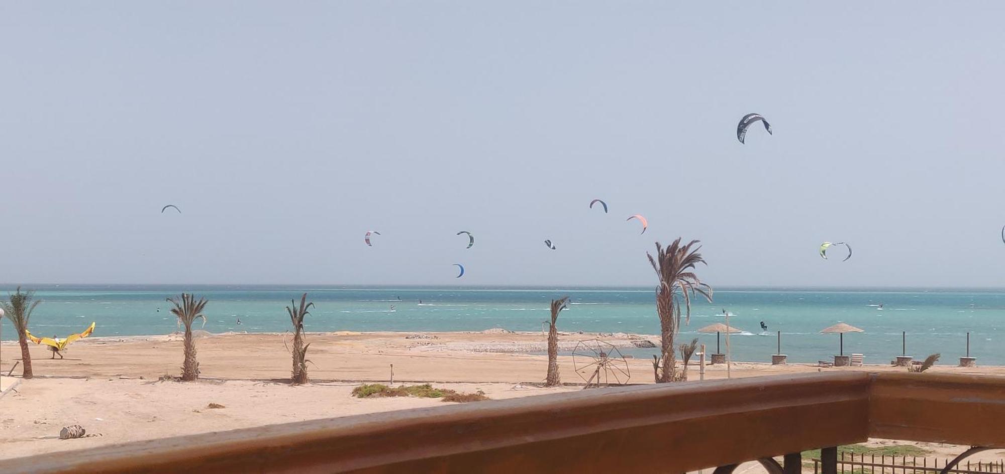 Anna & Snake * Hurghada