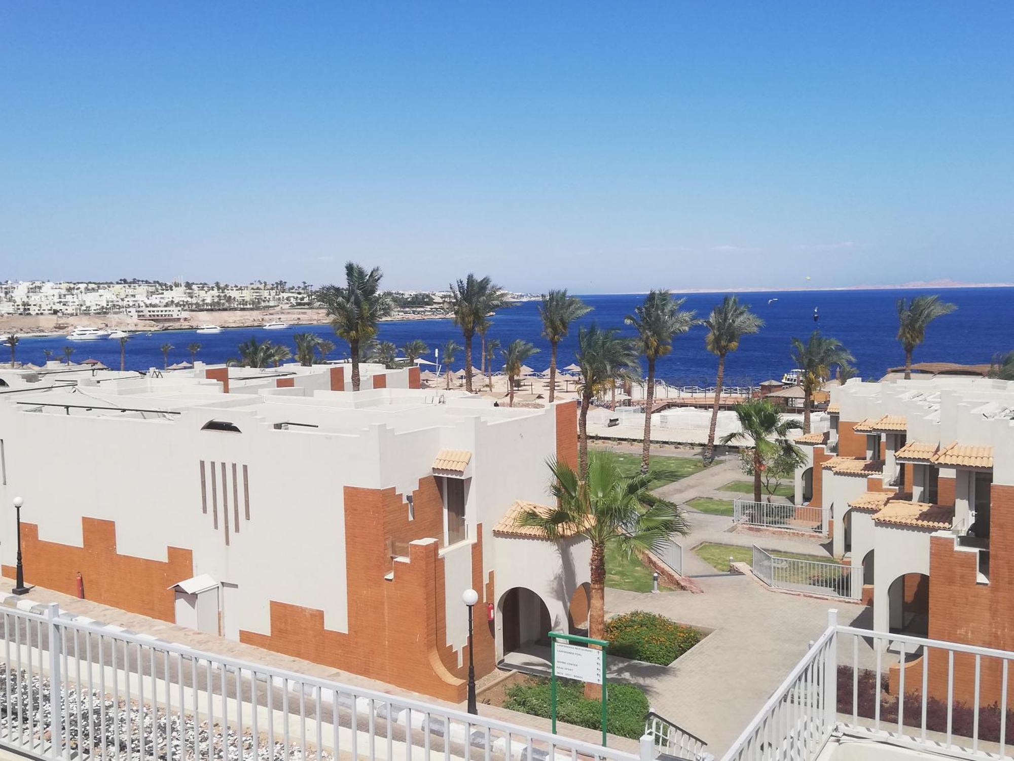 Nemo, Vista Mare, Sharks Bay, Sheikh