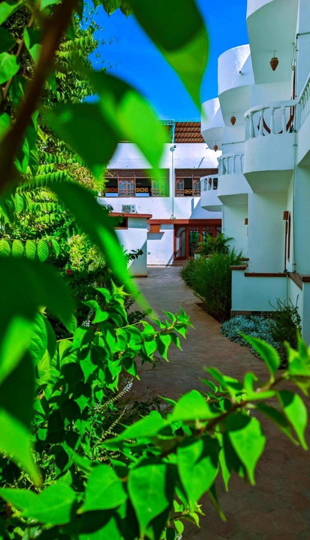 Ghazala Oasis Resort *