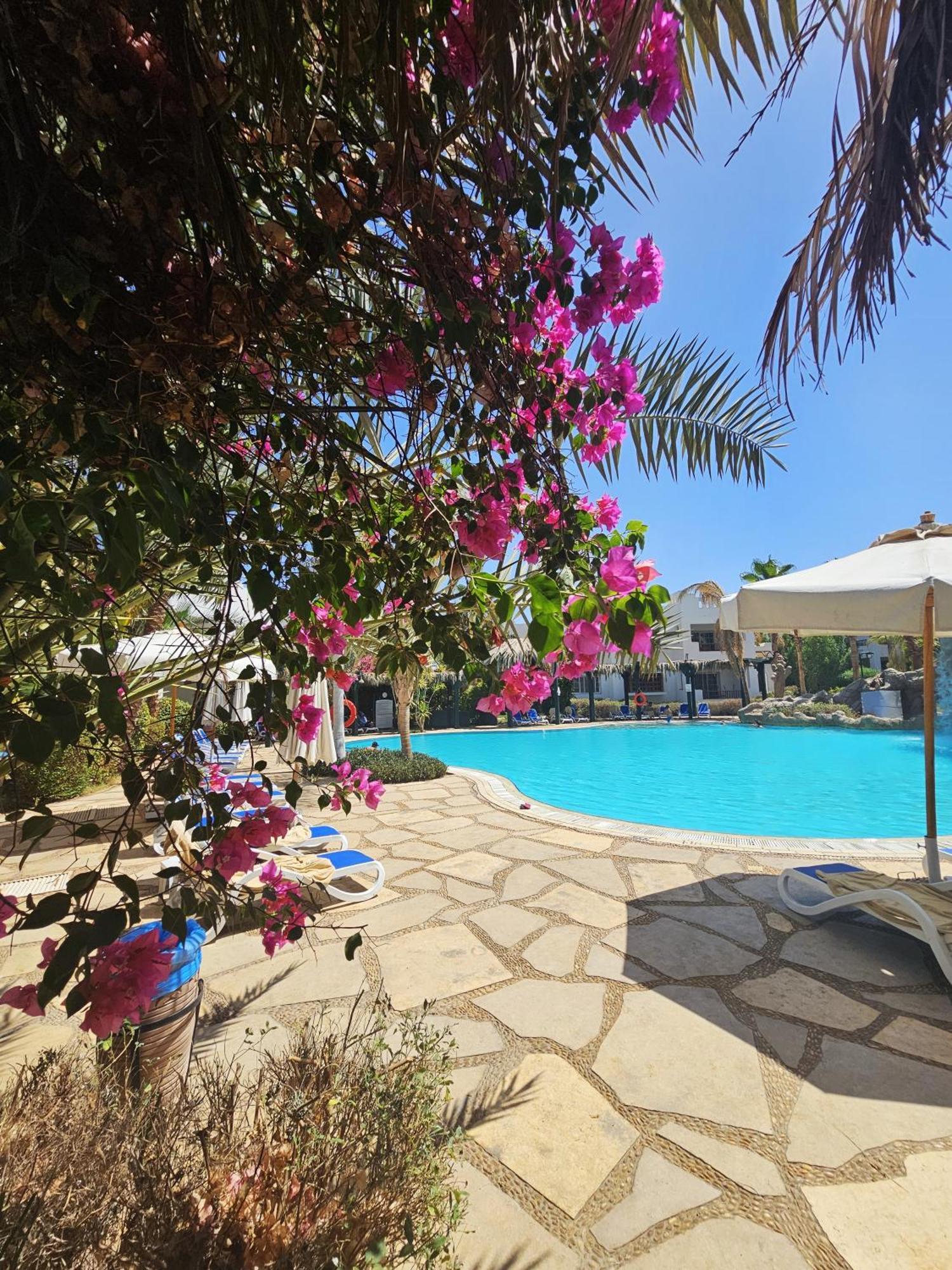 Blue Bay Delta Apartament *
