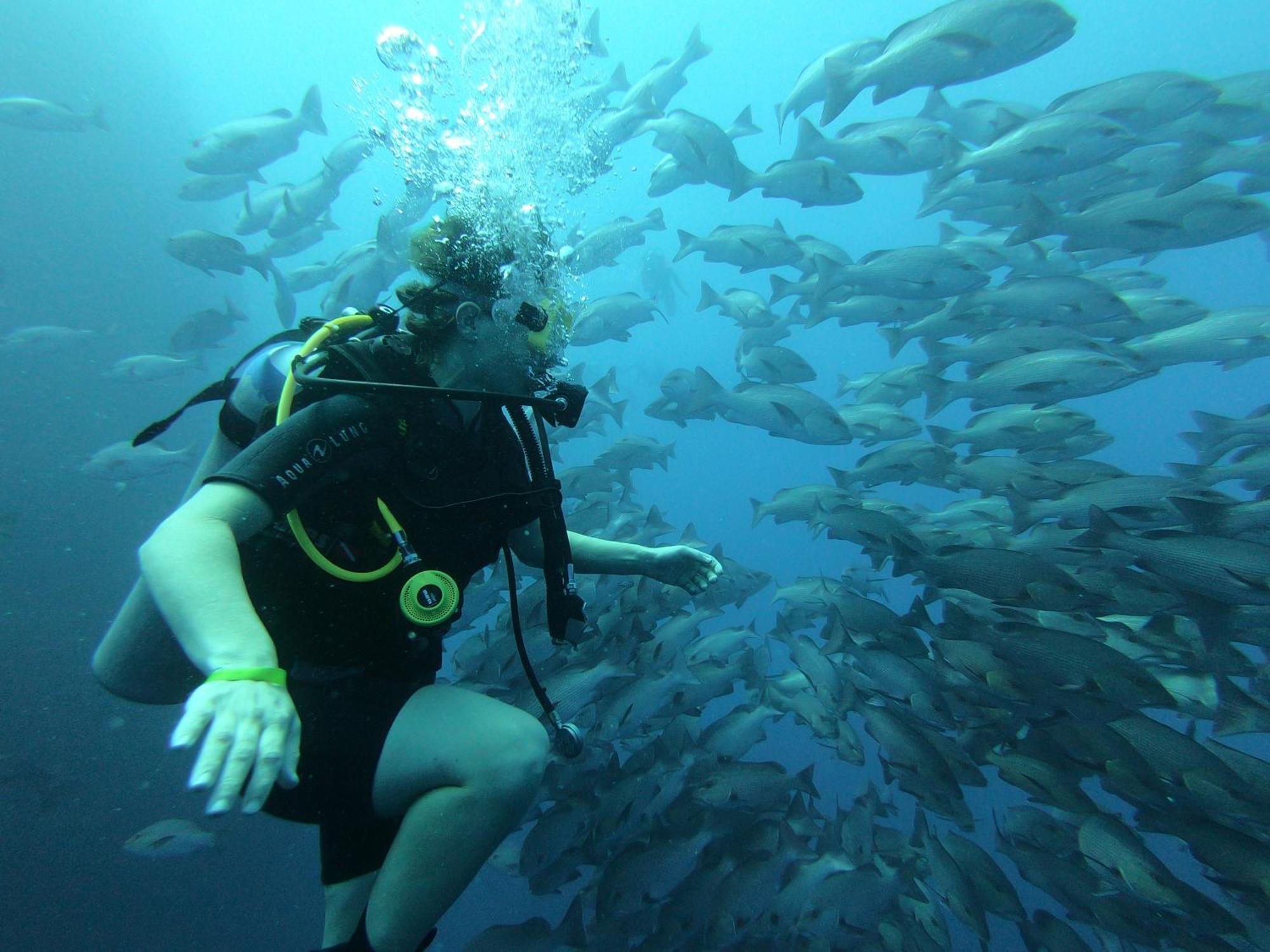 My In - Dive Center * Dahab