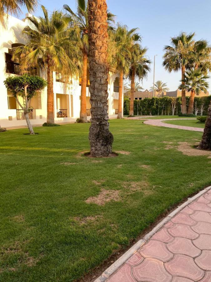 Resort Xperience St. George Sheikh