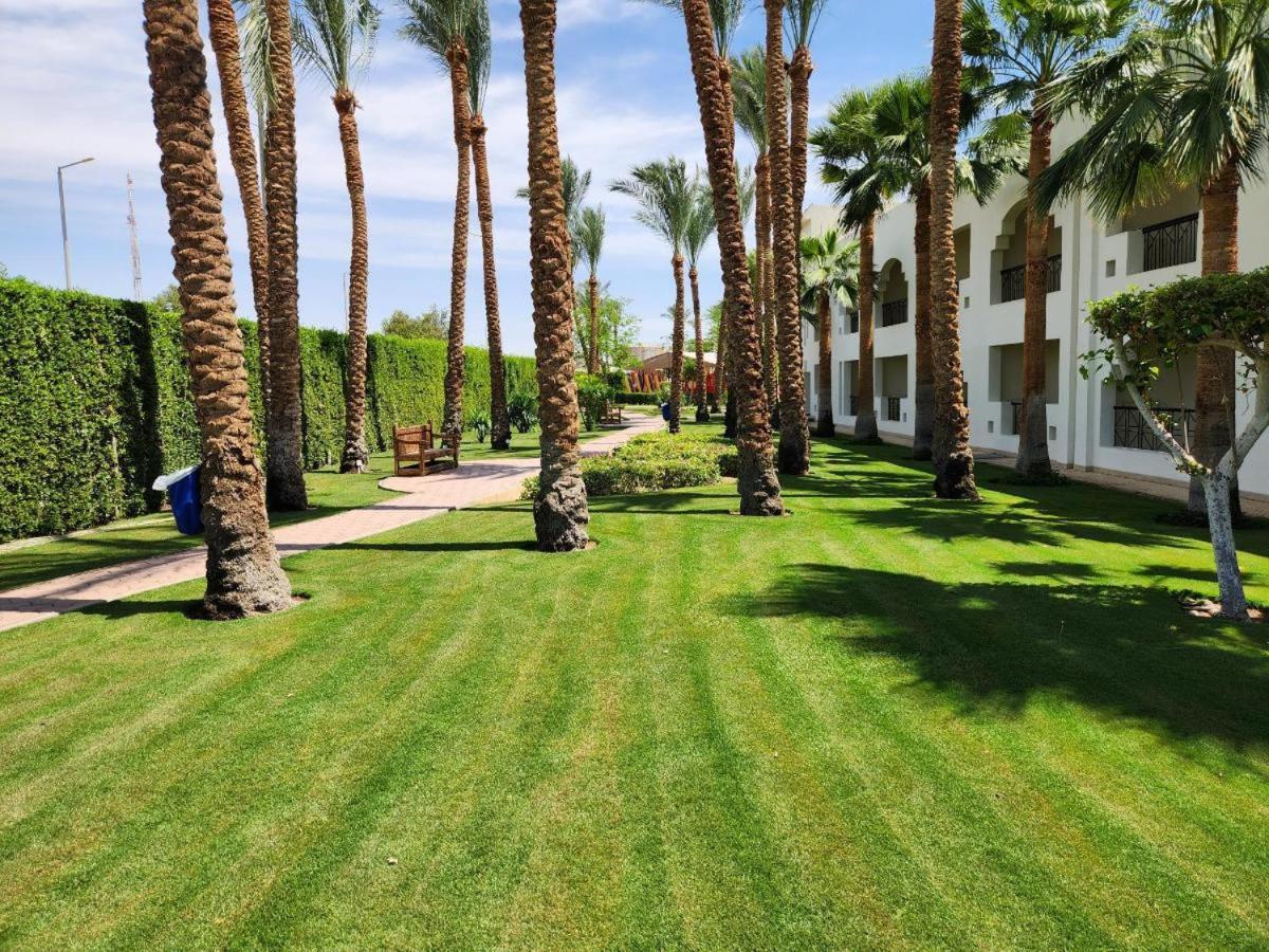 Xperience St. George Sheikh 4* Şarm El-Şeyh