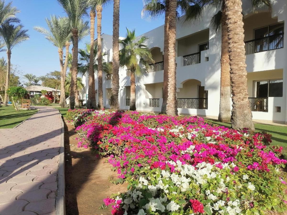 Xperience St. George Sheikh